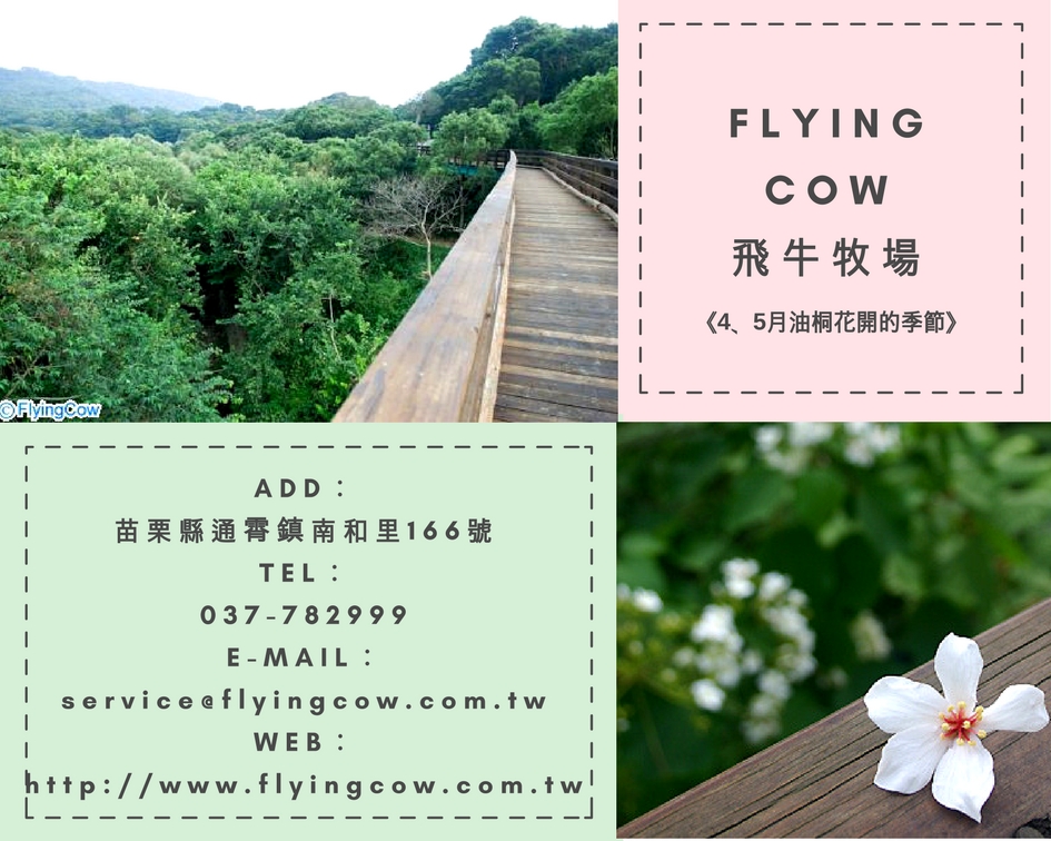 FLYING COW飛牛牧場