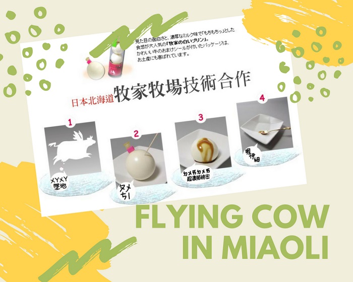 FLYING COW-PUDDING