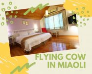 FLYING COW-ROOM