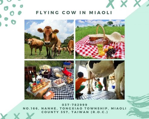 flying cow (1)