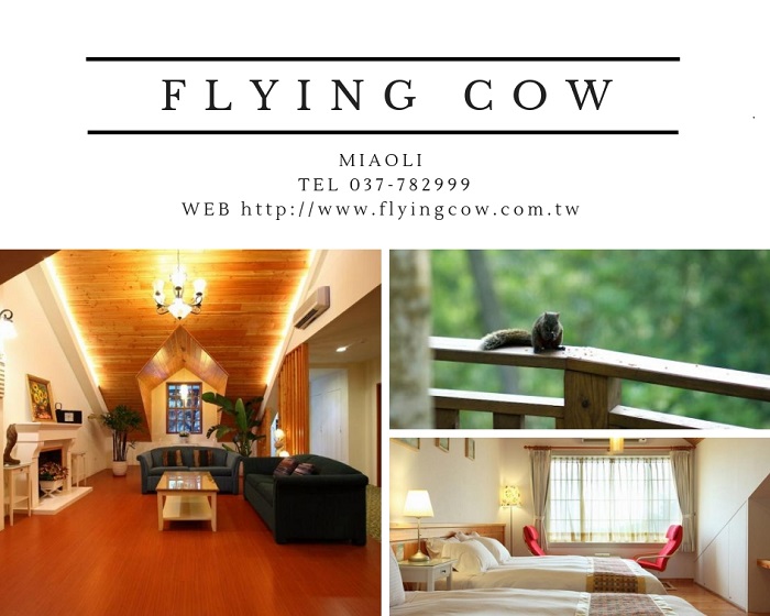 FLYING COW ACC